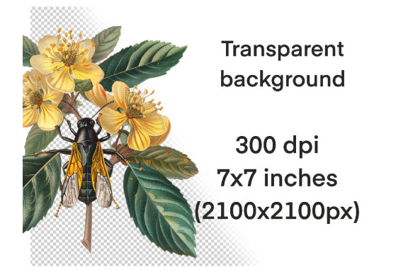 Vintage Entomology PNG Bundle