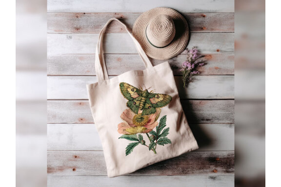 Vintage Entomology PNG Bundle