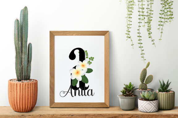 Plumeria Monogram Color Fonts