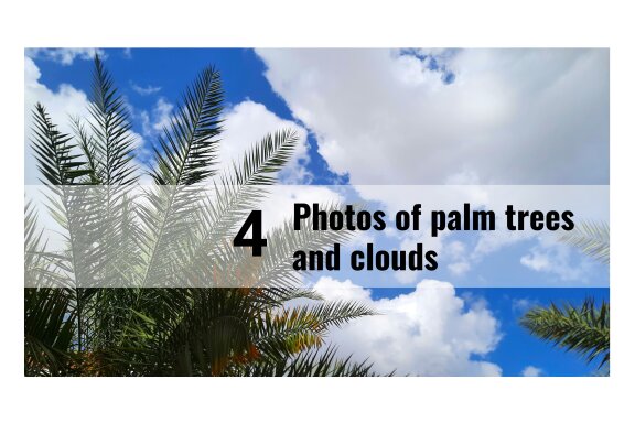 4 photos of palm trees and clouds