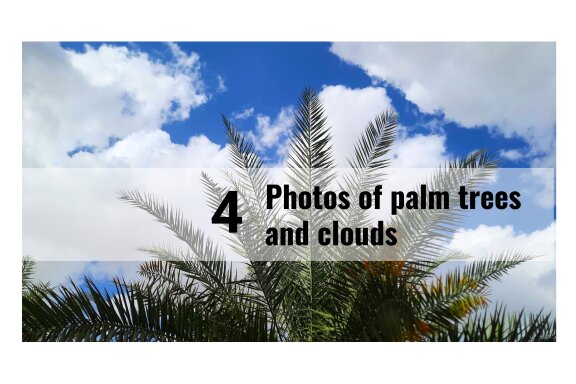4 photos of palm trees and clouds