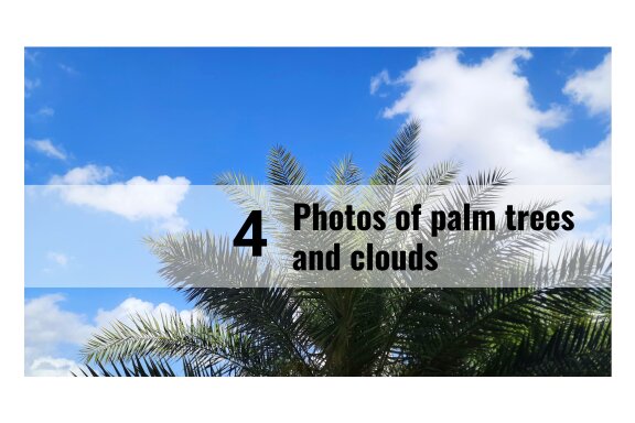 4 photos of palm trees and clouds
