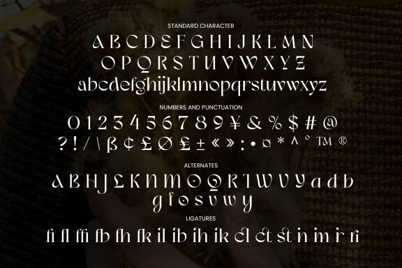 Meisha Nagita - Unique Serif