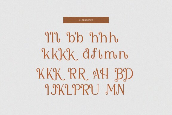 Shialbert | Modern Serif