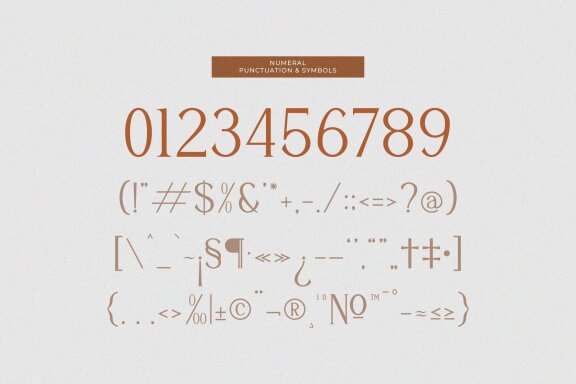 Shialbert | Modern Serif