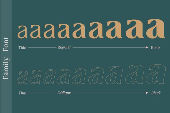 Collager - Modern Serif Family