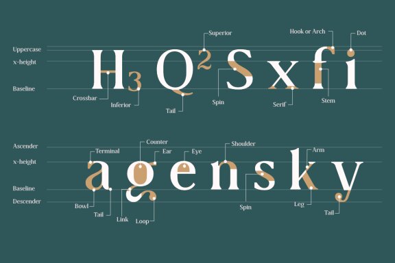 Collager - Modern Serif Family