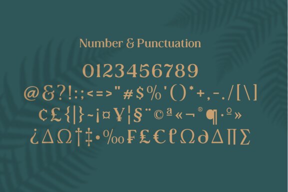 Collager - Modern Serif Family