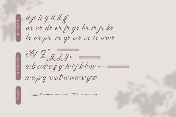Pimfloth Bartauly | Beauty Script