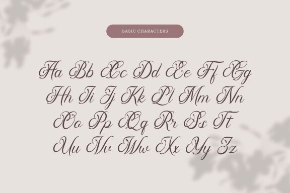 Pimfloth Bartauly | Beauty Script
