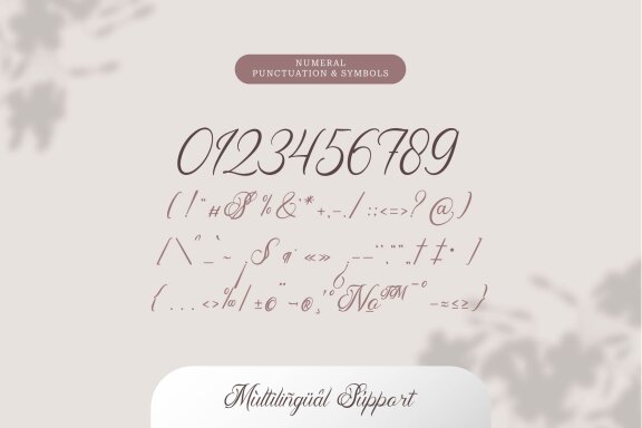 Pimfloth Bartauly | Beauty Script
