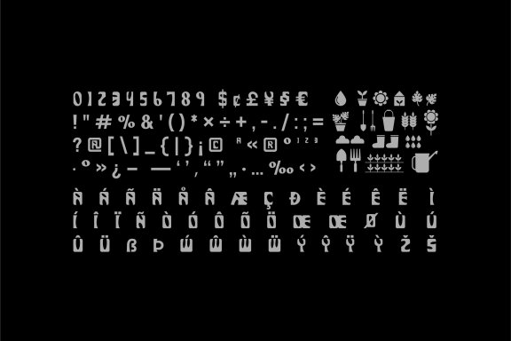 Derania - Monstera Font