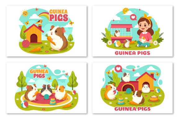 12 Guinea Pig Pets Illustration