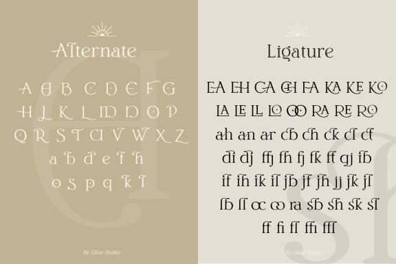 Grotek - Luxury Modern Serif