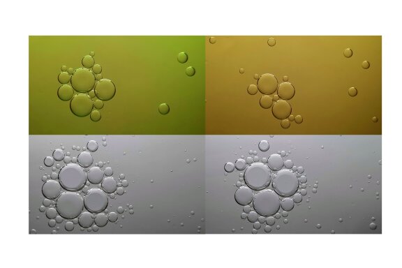 12 Bubbles abstract photos