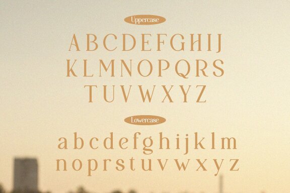 Papolina | Modern Serif Font