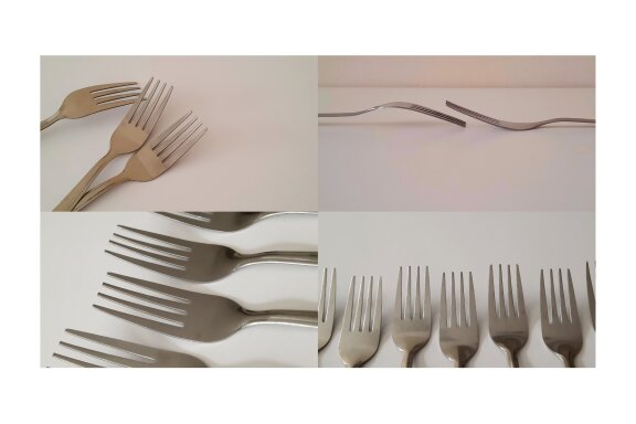 19 Forks photos