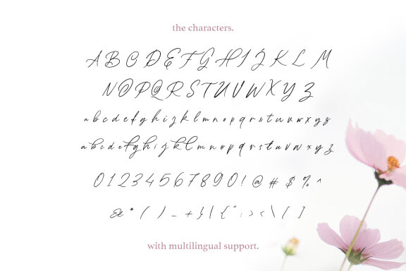 Lovely Britney - A beautiful handwritten script 