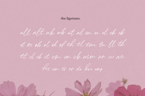 Lovely Britney - A beautiful handwritten script 