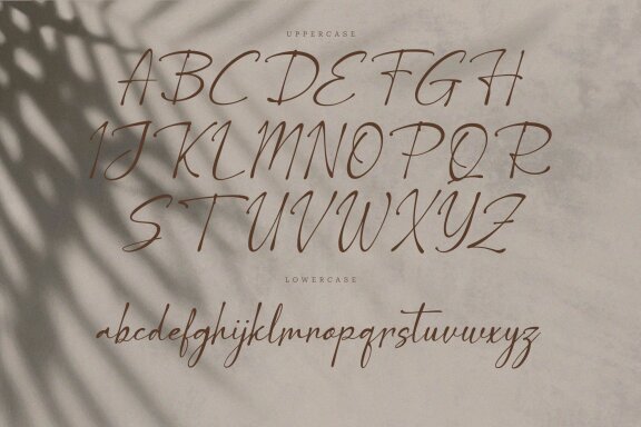 Lethilya Trivalle | Casual Chic Font