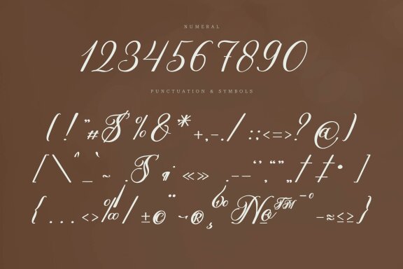Olydemi | Beauty Script