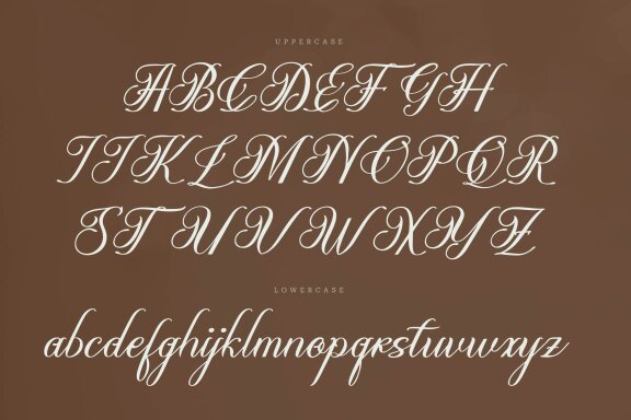 Olydemi | Beauty Script