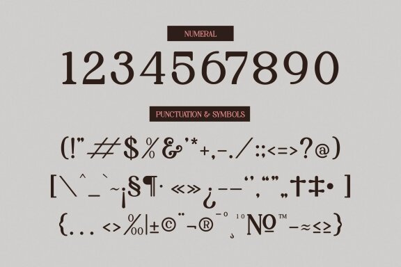 Palenk Radney | Modern Retro Serif