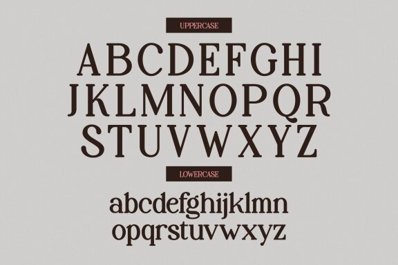 Palenk Radney | Modern Retro Serif