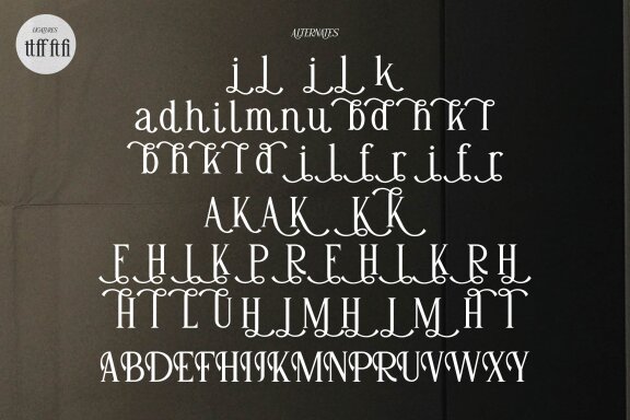Adigul | Modern Serif