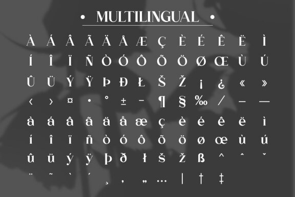 Fox Randy and Fox Magical Font Duo
