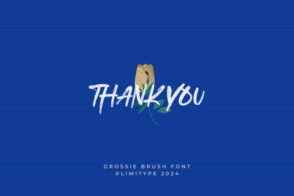 Grossie - Hand drawn brush Font