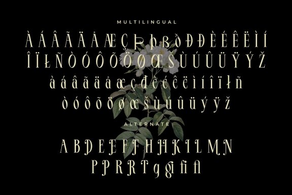 LT Serif