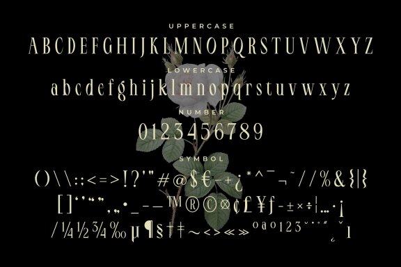LT Serif
