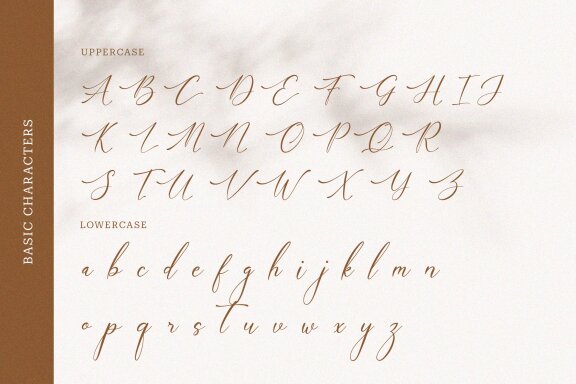 Funittey – Classy Script