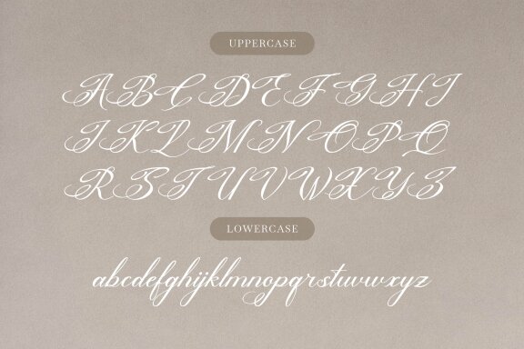 Bittenong Cenduin | Modern Calligraphy Font