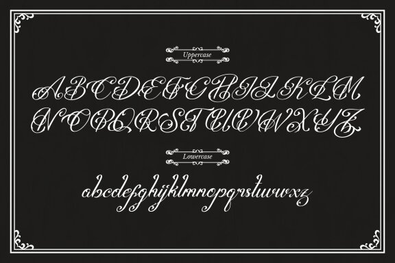 Shatoryu | Tattoo Script Font