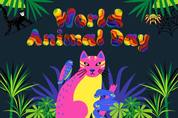 Fox Colorful Font
