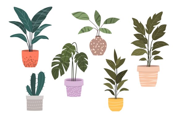 24  Flat Vector Houseplants Set