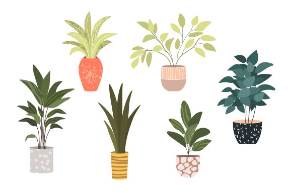 24  Flat Vector Houseplants Set