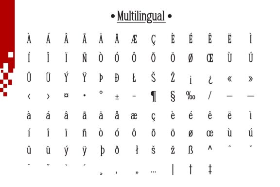 Fox Grilling Font Duo