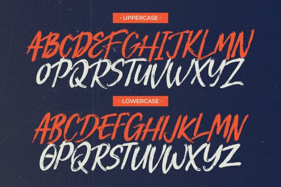 Blakecot Brush | Brush Font