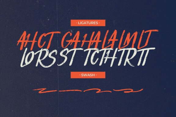 Blakecot Brush | Brush Font