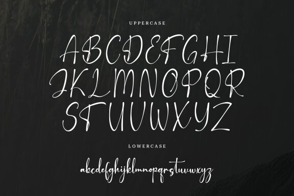 Trulqion | Handwritting Script Font