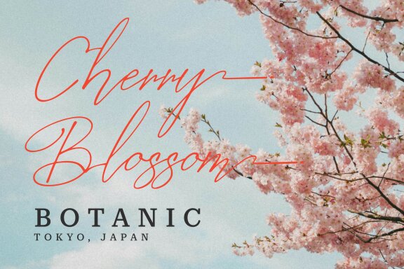 Gishelyna | Signature Script Font