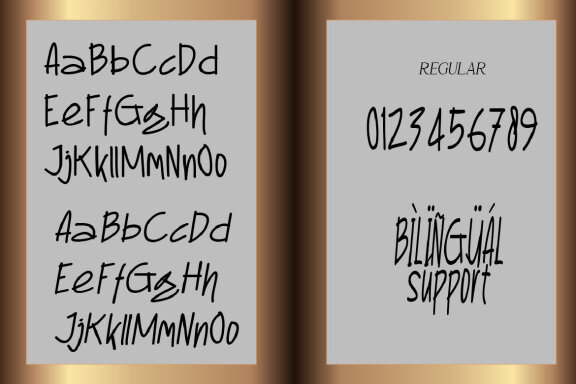 No Body font