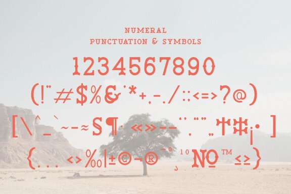 Venata | Slab Serif Font