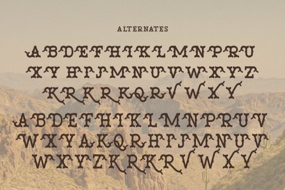 Venata | Slab Serif Font