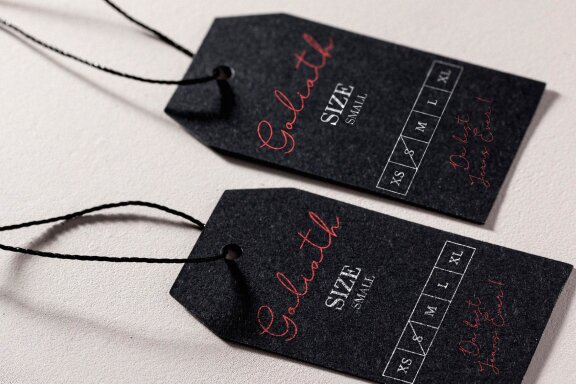 Pasttemy | Monoline Stylish Script