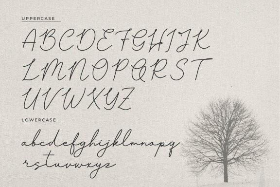Pasttemy | Monoline Stylish Script