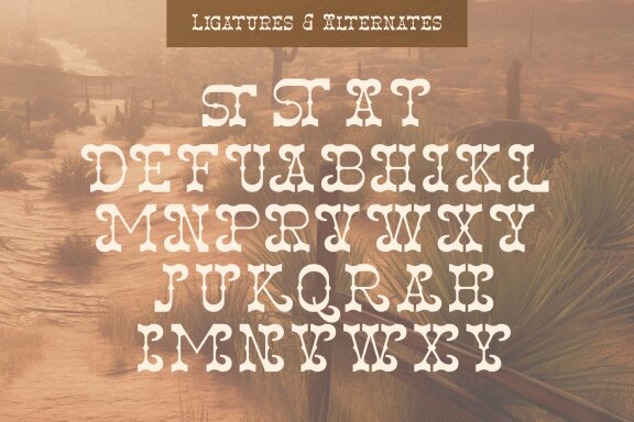 Aldest Tanigo | Western Slab Serif